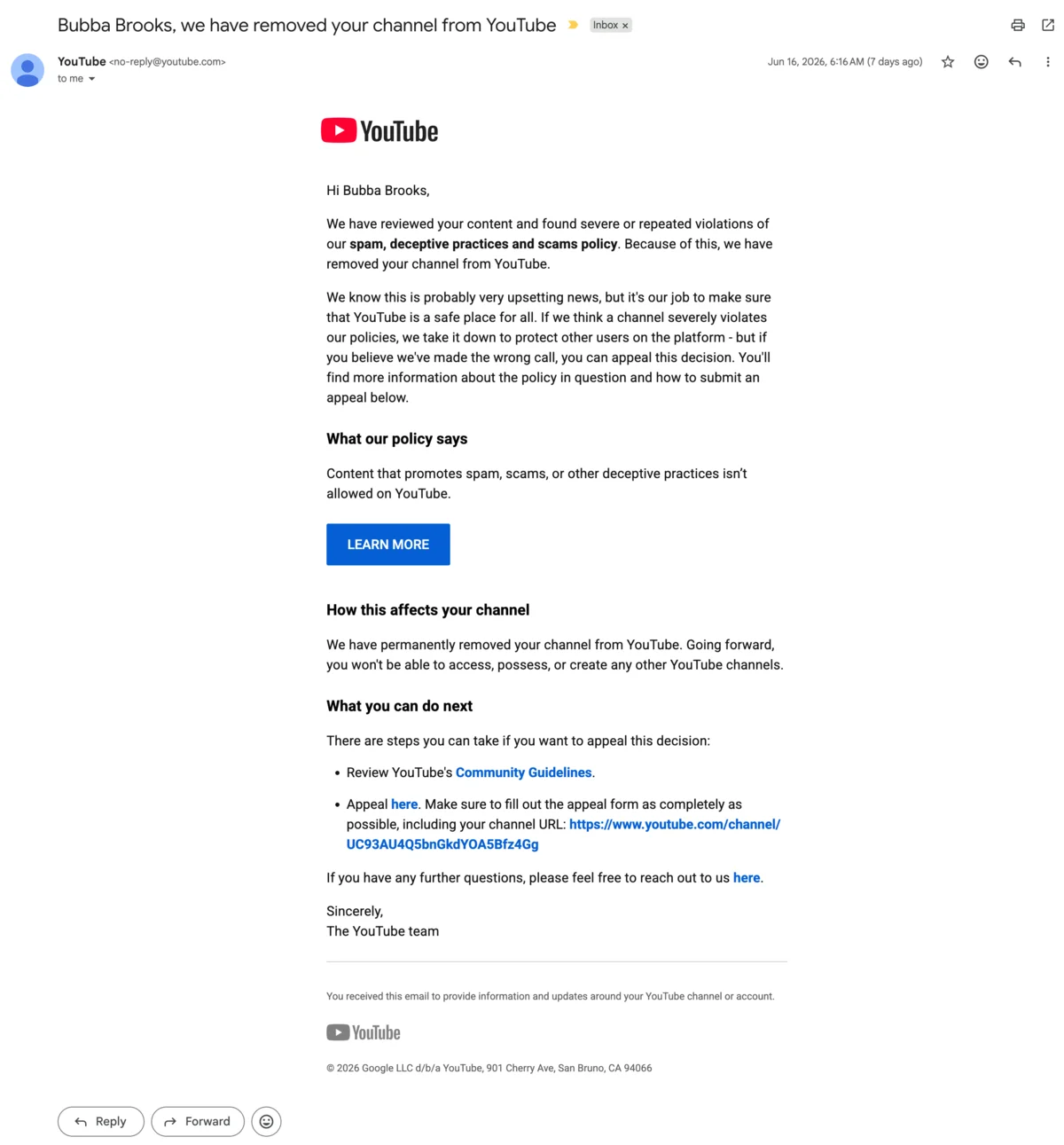 Screenshot of the account termination email from Google