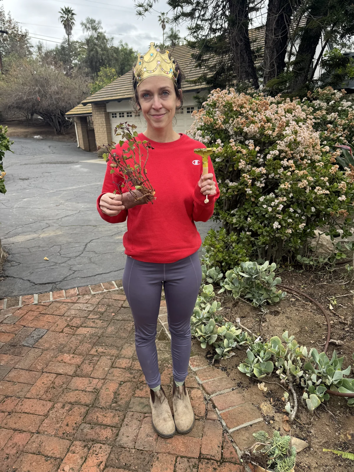 A woman holding a very old, shriveled sweet potato that has sprouted a massive 6-inch green tendril