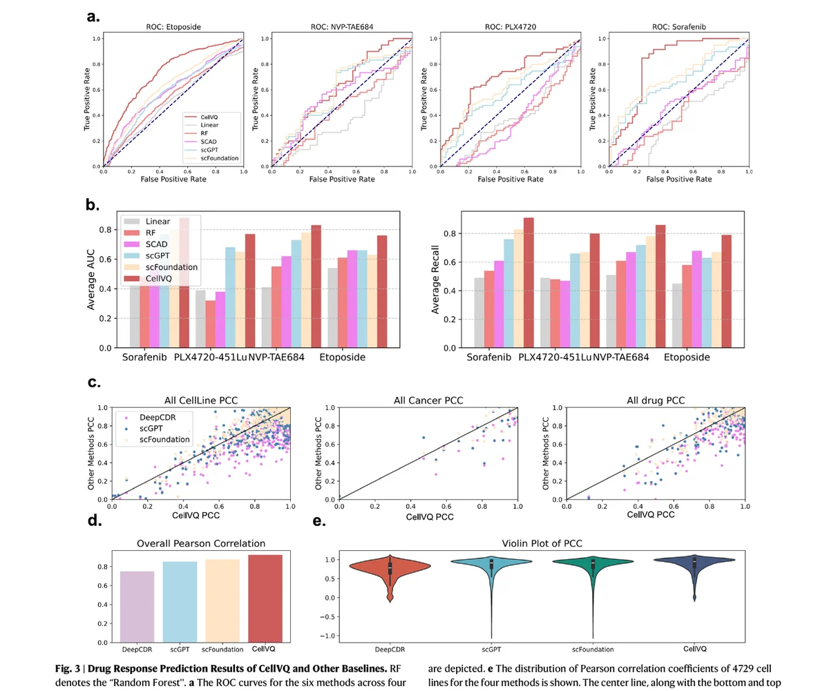 ROC curves and bar charts showing CellVQ outperforming baselines on drug-response prediction, with a note that on smaller perturbation datasets a plain linear model matches the foundation models.
