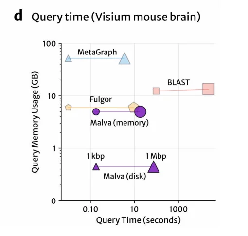 Log-log scatter of query memory usage in gigabytes against query time in seconds, with two points per method for 1 kbp and 1 Mbp queries. MetaGraph sits near 50 GB, BLAST near 13 GB and slowest, Fulgor and Malva in-memory around 5 to 6 GB, and Malva on disk sits alone near 0.4 GB, roughly an order of magnitude below everything else and correspondingly further right on the time axis.