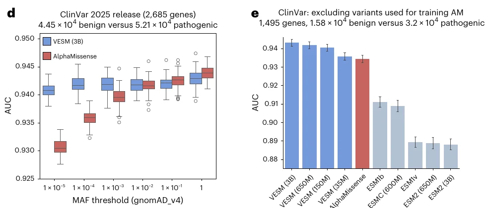 Panel d, box plots of AUC against MAF threshold: AlphaMissense in red starts around 0.9305 at the rarest threshold and rises to about 0.944 unrestricted, while VESM-3B in blue holds near 0.941 across the rare thresholds. Panel e, a bar chart on the AlphaMissense-training-excluded subset where all four VESM bars sit above the AlphaMissense bar.