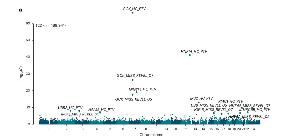 Gene-level Manhattan plot for type 2 diabetes across 489,941 UK Biobank genomes. GCK protein-truncating variants sit far above everything at about 10 to the minus 66, and HNF1A near 10 to the minus 41. The new gene IRS2 stands out at about 10 to the minus 13. The other new genes, UBR3, NAA15, RMC1, IP6K1, UBB and HNF4A, sit just above the dotted significance line alongside the known genes TNRC6B and IGF1R.