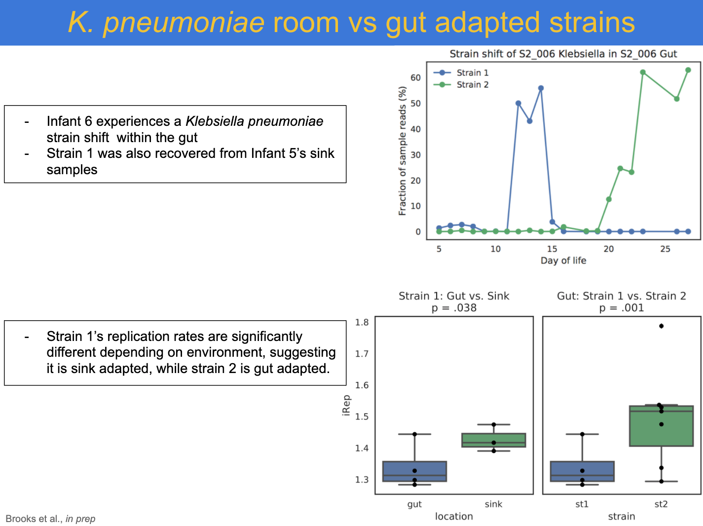 K. pneumoniae room vs gut adapted strains