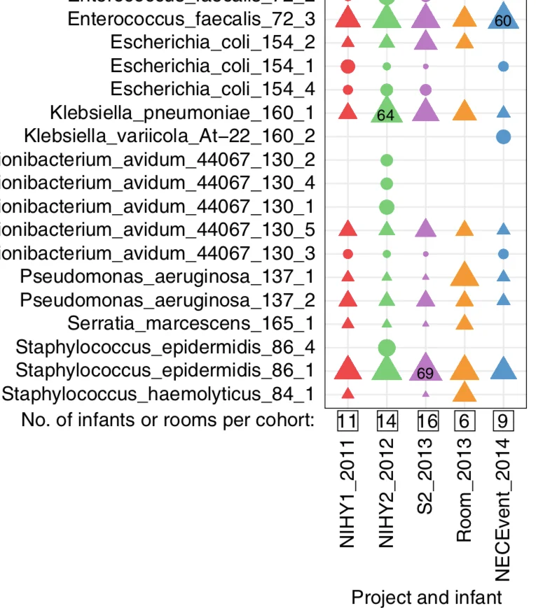 We Found The Strains 2017